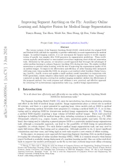 Improving Segment Anything on the Fly: Auxiliary Online Learning and
  Adaptive Fusion for Medical Image Segmentation