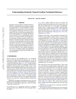 Understanding Stochastic Natural Gradient Variational Inference