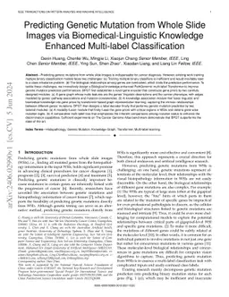 Predicting Genetic Mutation from Whole Slide Images via
  Biomedical-Linguistic Knowledge Enhanced Multi-label Classification