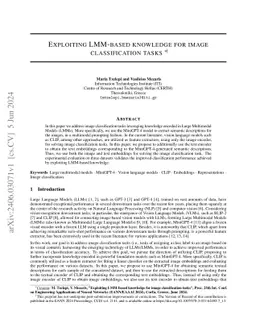 Exploiting LMM-based knowledge for image classification tasks