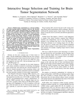 Interactive Image Selection and Training for Brain Tumor Segmentation
  Network