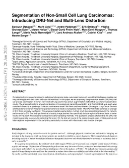 Segmentation of Non-Small Cell Lung Carcinomas: Introducing DRU-Net and
  Multi-Lens Distortion