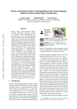 African or European Swallow? Benchmarking Large Vision-Language Models
  for Fine-Grained Object Classification
