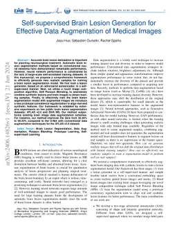 Self-supervised Brain Lesion Generation for Effective Data Augmentation
  of Medical Images