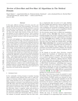 Review of Zero-Shot and Few-Shot AI Algorithms in The Medical Domain