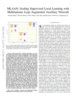 MLAAN: Scaling Supervised Local Learning with Multilaminar Leap
  Augmented Auxiliary Network
