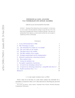 Topological Data Analysis via Undergraduate Linear Algebra
