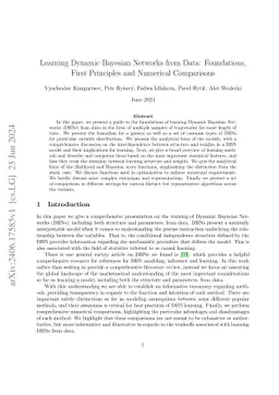 Learning Dynamic Bayesian Networks from Data: Foundations, First
  Principles and Numerical Comparisons