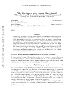 Why Line Search when you can Plane Search? SO-Friendly Neural Networks
  allow Per-Iteration Optimization of Learning and Momentum Rates for Every
  Layer