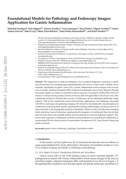 Foundational Models for Pathology and Endoscopy Images: Application for
  Gastric Inflammation
