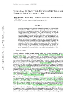 Views Can Be Deceiving: Improved SSL Through Feature Space Augmentation