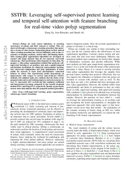 SSTFB: Leveraging self-supervised pretext learning and temporal
  self-attention with feature branching for real-time video polyp segmentation