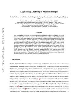 Lightening Anything in Medical Images