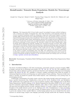 BrainFounder: Towards Brain Foundation Models for Neuroimage Analysis