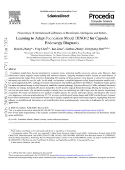 Learning to Adapt Foundation Model DINOv2 for Capsule Endoscopy
  Diagnosis