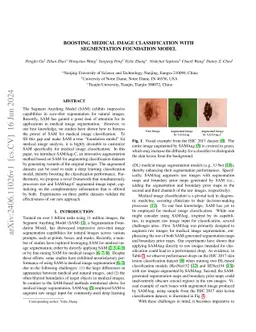 Boosting Medical Image Classification with Segmentation Foundation Model