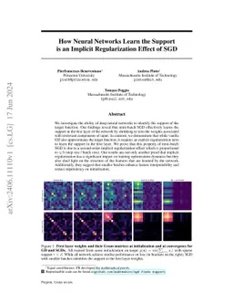 How Neural Networks Learn the Support is an Implicit Regularization
  Effect of SGD