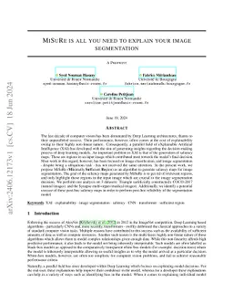 MiSuRe is all you need to explain your image segmentation