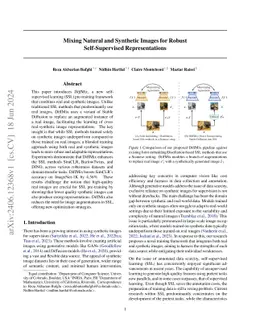 Mixing Natural and Synthetic Images for Robust Self-Supervised
  Representations