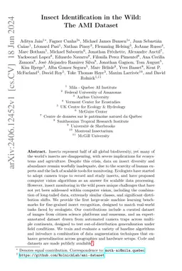 Insect Identification in the Wild: The AMI Dataset