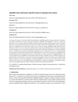LightGBM robust optimization algorithm based on topological data
  analysis