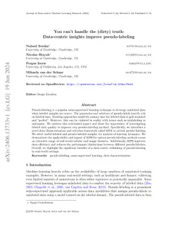 You can't handle the (dirty) truth: Data-centric insights improve
  pseudo-labeling