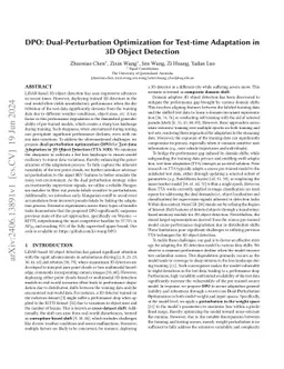 DPO: Dual-Perturbation Optimization for Test-time Adaptation in 3D
  Object Detection