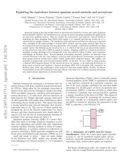 Exploiting the equivalence between quantum neural networks and
  perceptrons