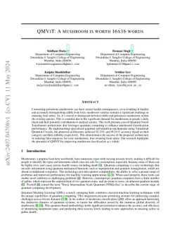 QMViT: A Mushroom is worth 16x16 Words