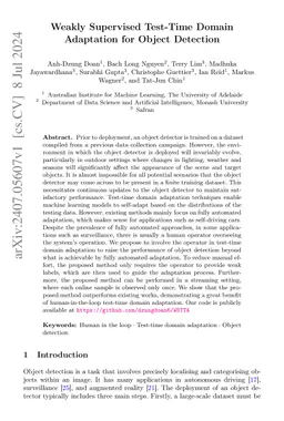 Weakly Supervised Test-Time Domain Adaptation for Object Detection