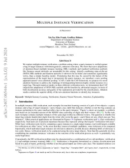 Multiple Instance Verification