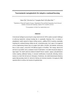 Neuromimetic metaplasticity for adaptive continual learning
