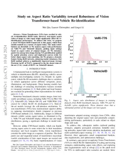 Study on Aspect Ratio Variability toward Robustness of Vision
  Transformer-based Vehicle Re-identification