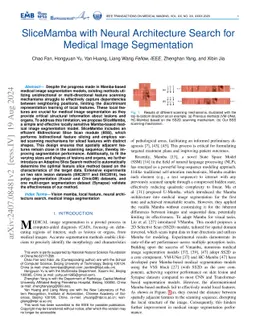 SliceMamba with Neural Architecture Search for Medical Image
  Segmentation