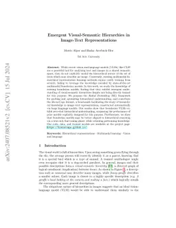 Emergent Visual-Semantic Hierarchies in Image-Text Representations