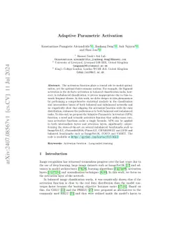 Adaptive Parametric Activation: Unifying and Generalising Activation Functions Across Tasks