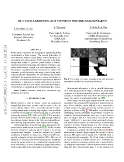 Multi-scale gridded Gabor attention for cirrus segmentation