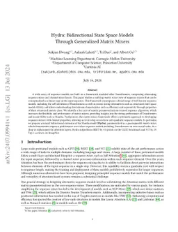 Hydra: Bidirectional State Space Models Through Generalized Matrix
  Mixers