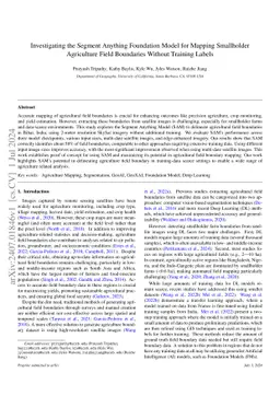 Investigating the Segment Anything Foundation Model for Mapping
  Smallholder Agriculture Field Boundaries Without Training Labels