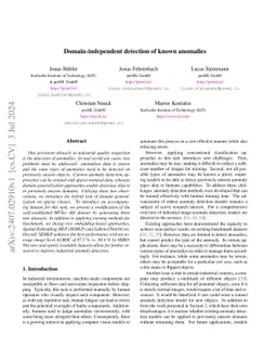 Domain-independent detection of known anomalies