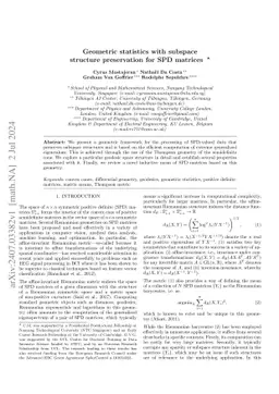 Geometric statistics with subspace structure preservation for SPD
  matrices