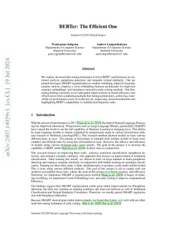 BERTer: The Efficient One