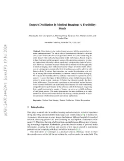 Dataset Distillation in Medical Imaging: A Feasibility Study