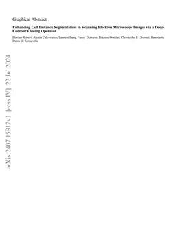 Enhancing Cell Instance Segmentation in Scanning Electron Microscopy Images via a Deep Contour Closing Operator