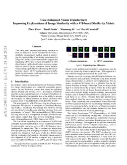 Case-Enhanced Vision Transformer: Improving Explanations of Image
  Similarity with a ViT-based Similarity Metric