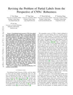Revising the Problem of Partial Labels from the Perspective of CNNs'
  Robustness
