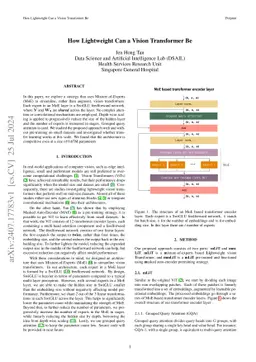 How Lightweight Can A Vision Transformer Be