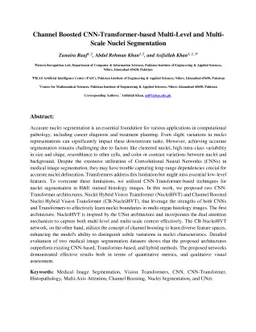 Channel Boosted CNN-Transformer-based Multi-Level and Multi-Scale Nuclei
  Segmentation
