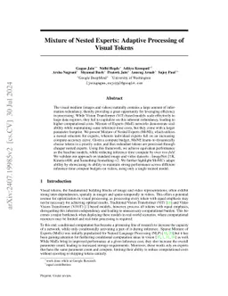 Mixture of Nested Experts: Adaptive Processing of Visual Tokens