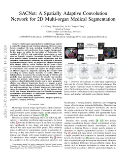 SACNet: A Spatially Adaptive Convolution Network for 2D Multi-organ Medical Segmentation
